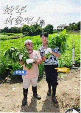 成人做爰黄大片免费观看鲸鱼 鲸厨争霸